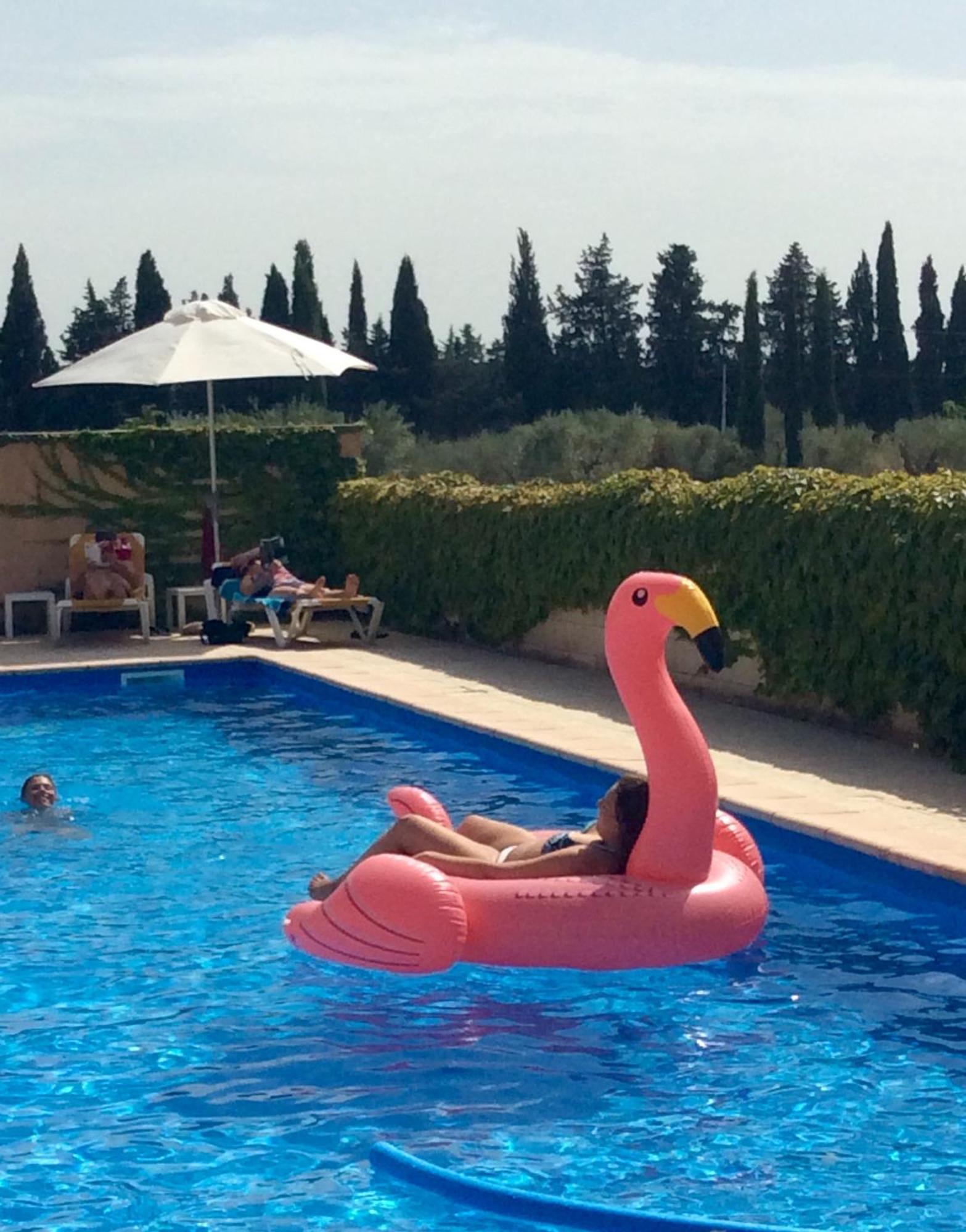Hotel Terriciae Aux Portes De Maussane Les Alpilles Екстер'єр фото